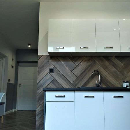 Apartament Lucy - Scisle Centrum Czestochowy Çestohova Dış mekan fotoğraf